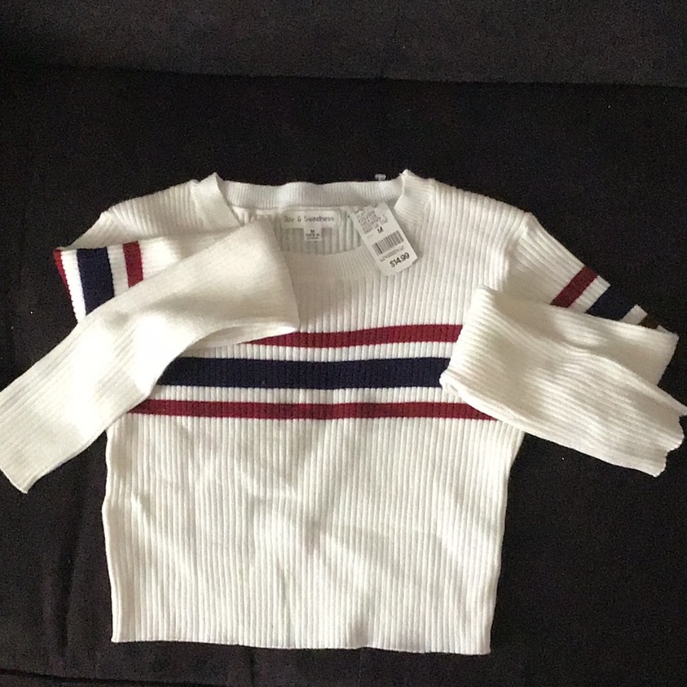 Long sleeve crop